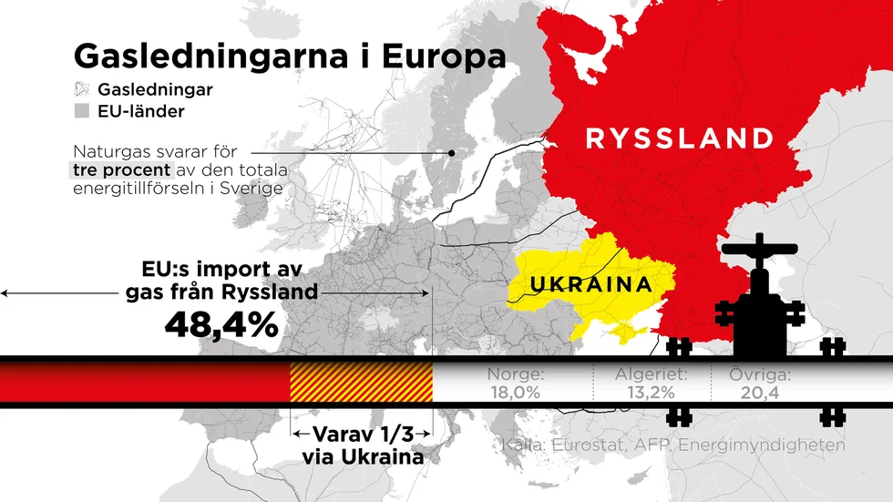 EU:s import av naturgas enligt statistik från Eurostat från juni 2021.