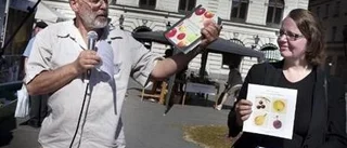 Biologisk mångfald på Stora Torget