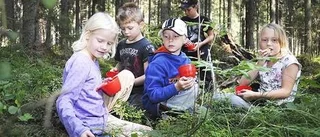 Naturskolan på blåbärsjakt
