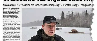 Grisbonde får rätt skjuta vildsvin