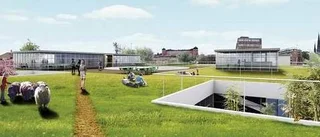 Sivia torg är hans drömprojekt