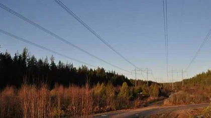 Omkring 30 vindkraftverk kan hamna i de här skogarna mellan Ölbo och Finnböle nordost om Hedesunda.