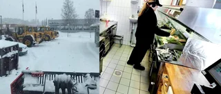 Hjärtliga gesten till snösvängen: "Vill visa uppskattning"