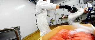 Luleåföretaget storsatsar på fossilfri plast