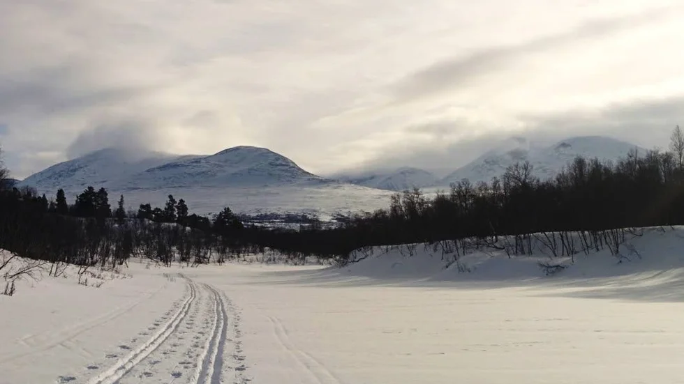 Arkivbild från kungsleden vid Abisko.