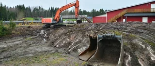 Rospiggarna får miljonstöd