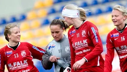 Från vänster: Josefine Sandin, Åsa Vallgårda, Annelie Carlsson och Jenny Jansson.