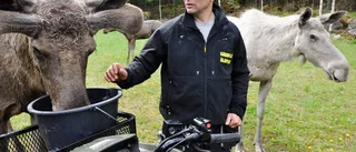Älgparken årets turistmål