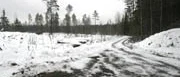 Tekniska bevis stöder morderkännande