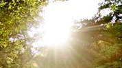 Bilden. 

Stadsträdgården, Stadsparken kl 18:36, lördag. Familjen Ljubicic stannade upp för att spela frisbee i den underbara kvällssolen.

Mamma Marijana i mitten. Pappa Mato och sonen Toni.