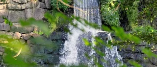 Lågt betyg för naturvården