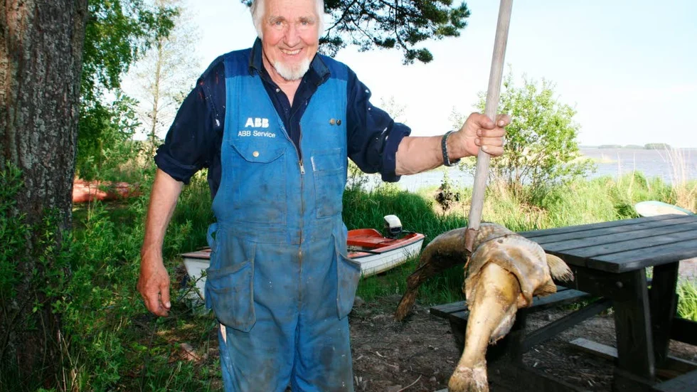 Nils Öman med gäddan som kvävdes av sitt eget byte – en gös.