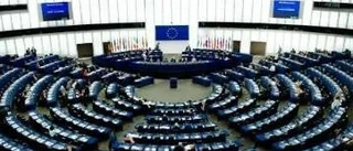 Feminister siktar på plats i EU