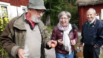 Äppeldagar på Linnés Hammarby, fr v äppelexperten Mattias Iwarsson med ett äpple hn tror är ett Säfstaholm, Birgitta och Börje Wallin som kommit med äpplet.