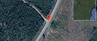 Stopp på väg 860 på grund av viltolycka med en personbil