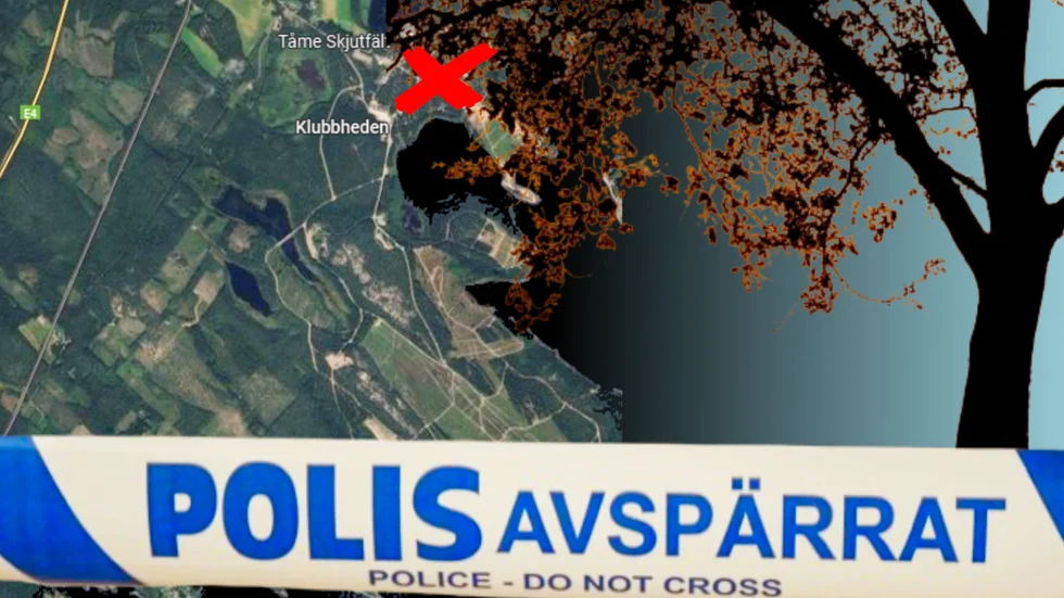 Mannen körde av vägen vid Tåme.