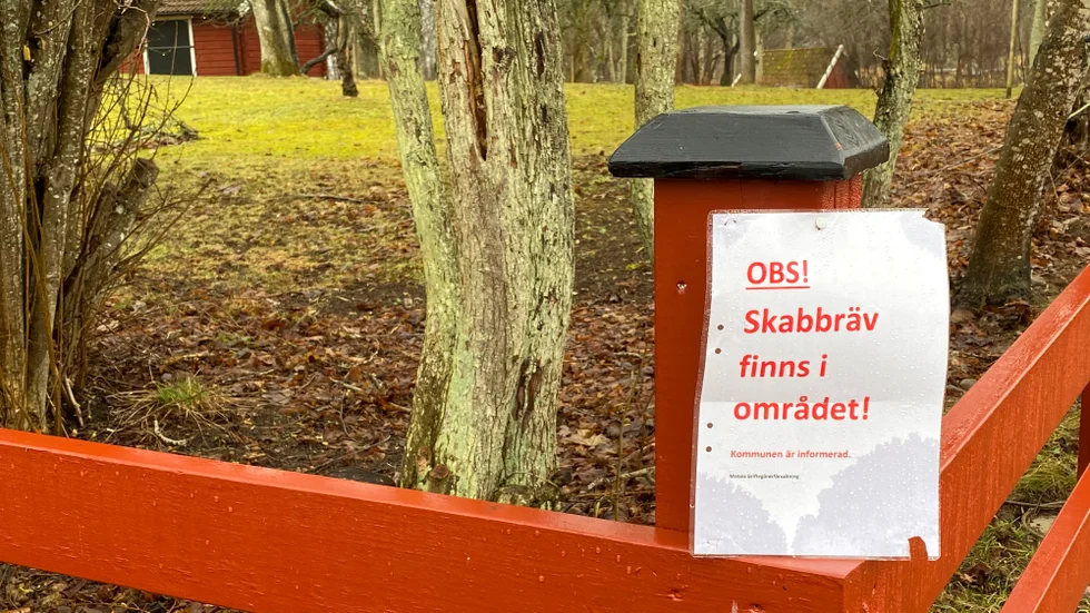 En skabbräv har observerats i ytterområdena av griftegården. Nu informeras allmänheten också i Bondebacka om den sjuka räven.