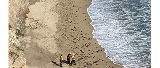 Surfare skrev "HJÄLP" på strand – räddades