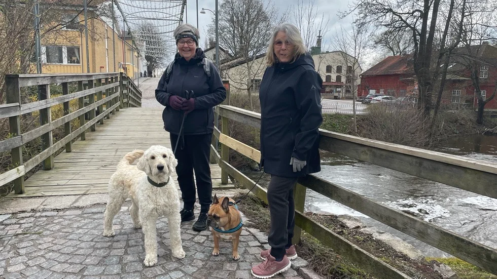 Mattarna Pia Buchholz och Elisabeth Nordström promenerar tillsammans varje dag med sina fyrbenta vänner. 