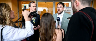 Åkessons Europa bygger dumheten
