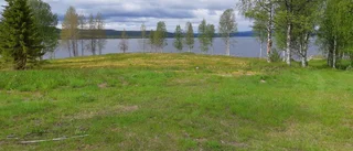 Tvingades plantera 400 träd – tvisten avgörs nästa vecka