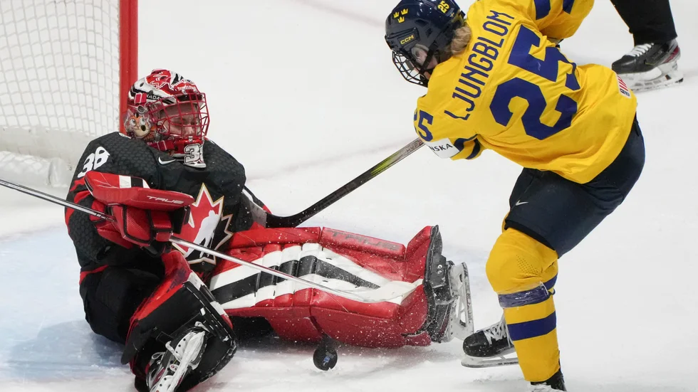 Lina Ljungblom fick pucken över mållinjen, men målet dömdes bort då domaren blåste av tidigt trots att målvakten inte hade kontroll över pucken.