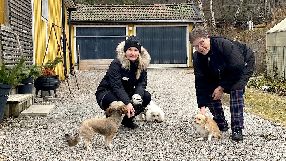 Hanna Färnqvist och Helena Lennartsson bor i området där hundattacken skedde men är inte oroliga. "Det måste vara någon utifrån, här har folk pli på sina hundar" säger de.