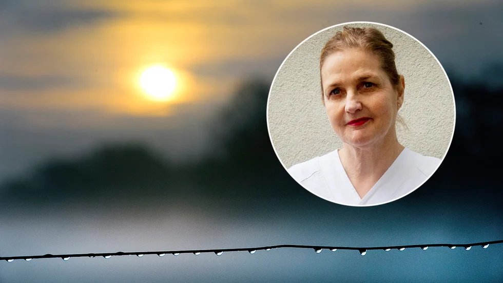 "Man blir pigg och glad av dagsljus", säger Sol-Britt Lonne Rahm som är verksamhetschef inom Region Sörmland för bland annat hudkliniken i Nyköping. 