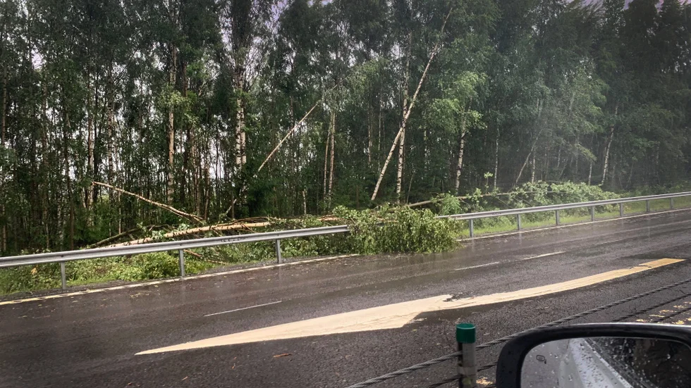 Trafikverket uppger att de nedfallna träden kan komma att påverka trafiken fram till 16.30 på fredagen. 