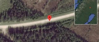 Trafikverket varnar för älg på vägen på väg 394