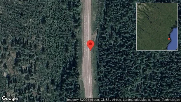 Älg på fel sida av viltstängslet på E4