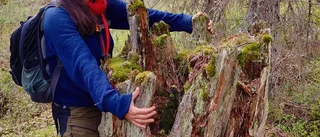 Ny ordförande för Naturskyddsföreningen