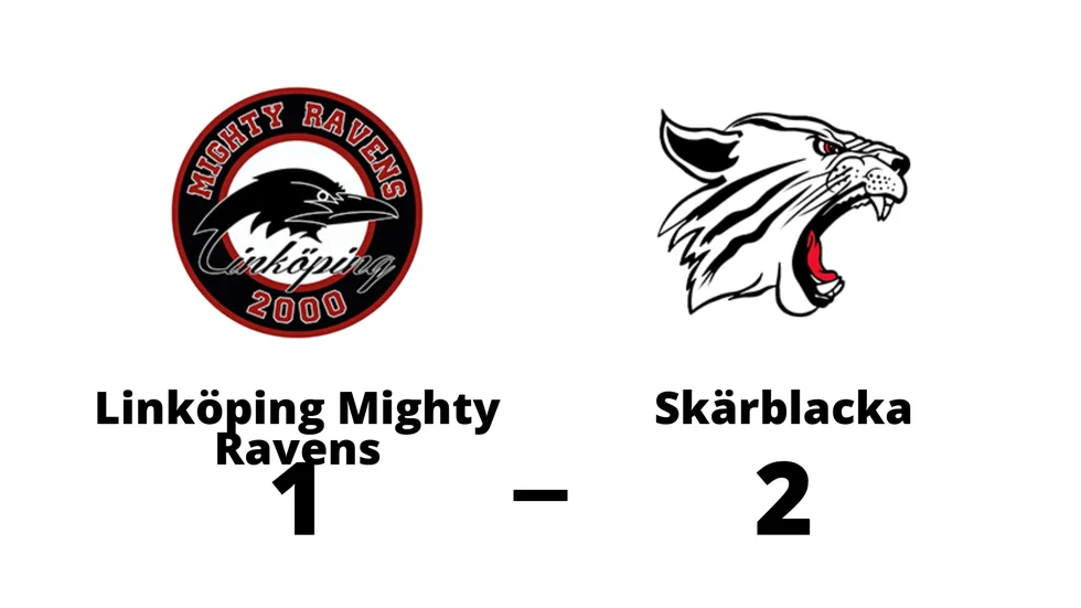 Linköping Mighty Ravens HC förlorade mot Skärblacka IF