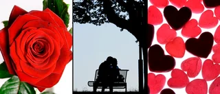 Kärlekshyllningen: "Går upp tidigare för min skull"