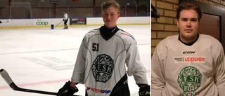 Hockeyspelarna får vässa på spetskompetenser i skolan