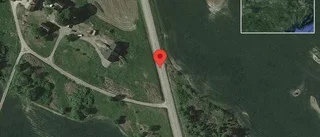 Träd över vägen skapar problem i trafiken på väg 55