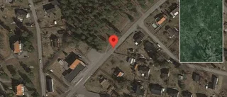 Nedfallna träd påverkar trafiken på väg 761
