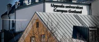 Forskningsfusk skakar Campus Gotland: ”Bekymmersamt”