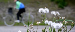 "Alltså – skärpning på er cyklister – var rädd om livet"