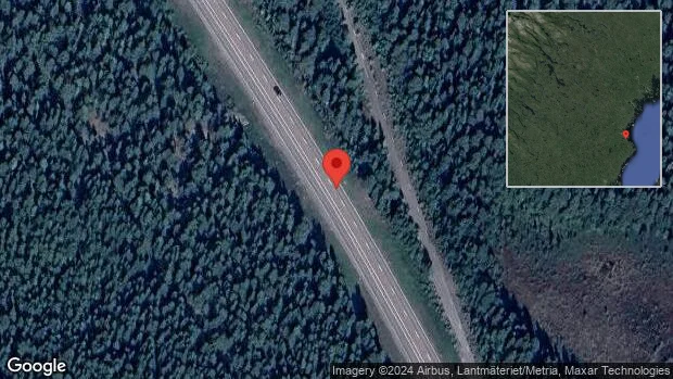 Ren på fel sida av viltstängslet på E4