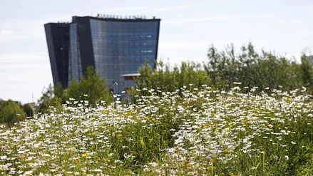 Ett diskuskast, eller två, från skrapan i Mjärdevi Centrum, finns det mycket vackert att beskåda på lunchrasten. Foto: Lasse Hejdenberg