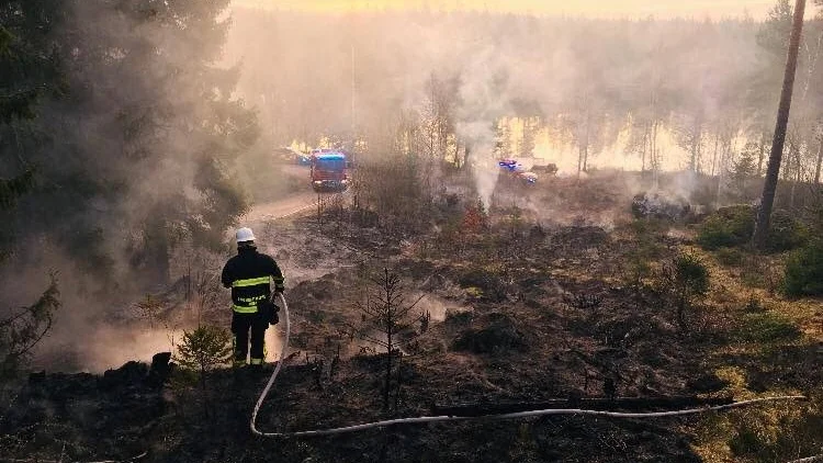 Ett område på tusen kvadratmeter eldhärjades