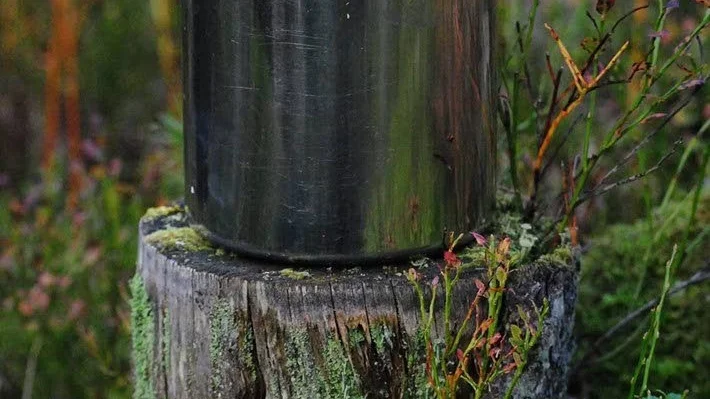 Vinnaren av Månadens bild September 2017 på vt.se.
