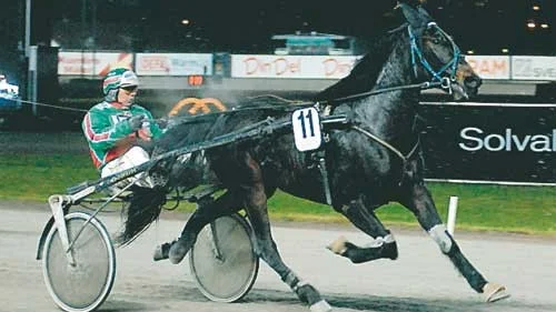 Preko Bob på Solvalla.