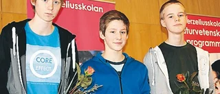 Vittraskolan vann mattetävling