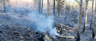 Skogsbrand utanför Verkebäck