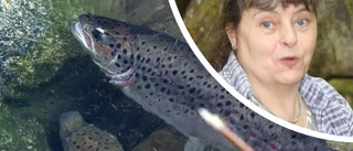 Lär dig om öring – och kolla in leken