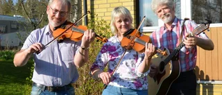 Höjdpunkt väntar för folkmusikfans