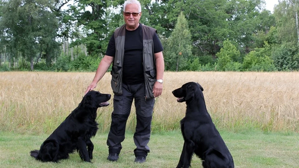 Sparky och Texas, av rasen flatcoated retriever, har betytt mycket för Johnny Janssons välmående. Foto: Lena Dahlberg