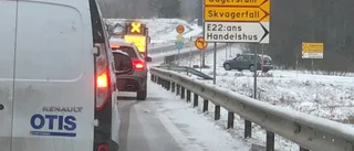 Lastbilshaveri orsakade köer